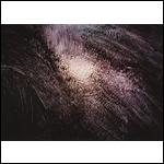 ���X�؏r�T�W