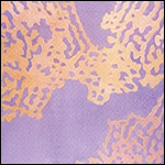 ���c�f�q�W