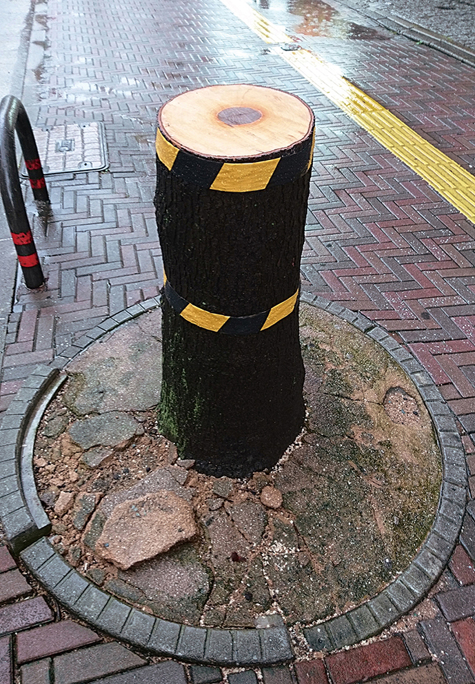 street_0019ss.jpg
