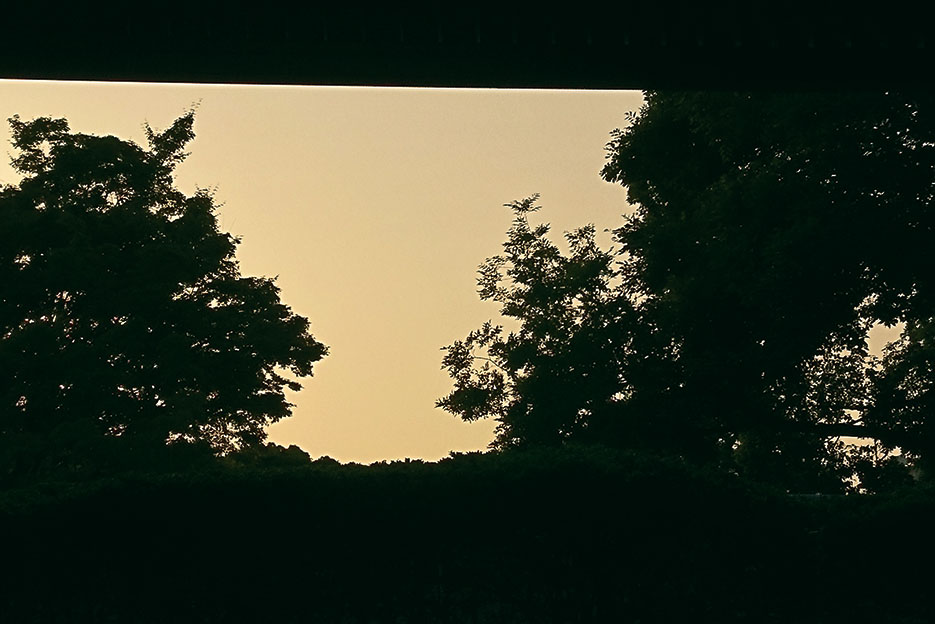 woods_0092.jpg