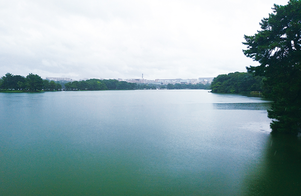 hotori_0096.jpg