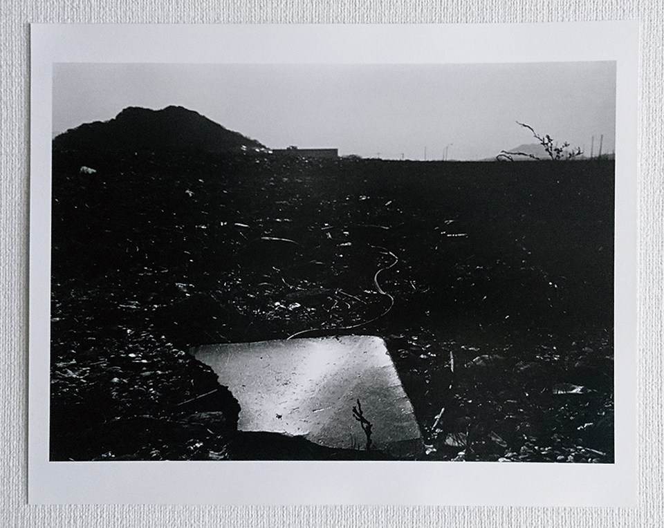 tsuda_2019.1204.jpg