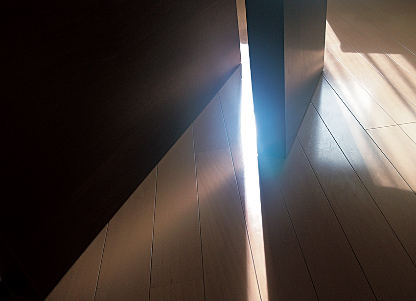 net_0231.jpg