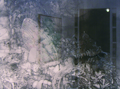tsukahara_01.jpg