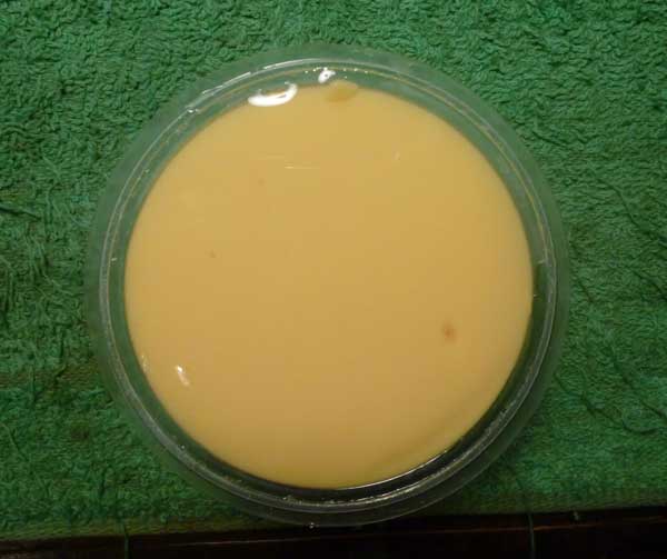 mango.jpg