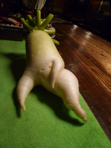 daikon.jpg