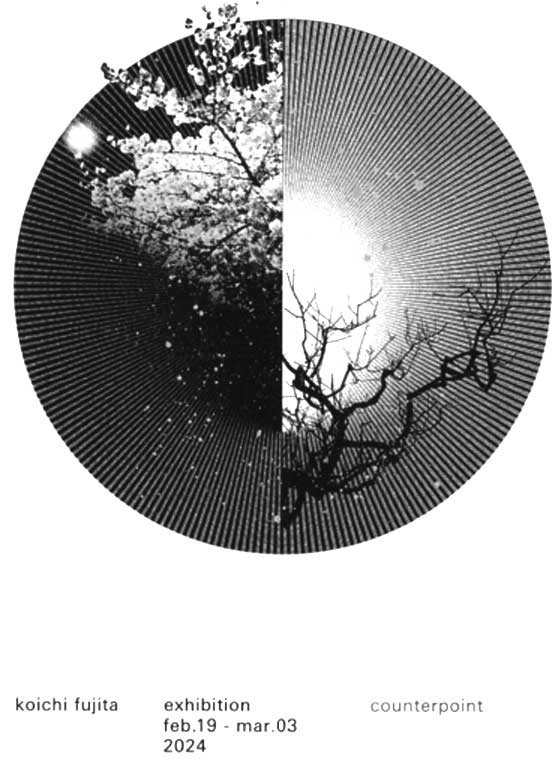2024-fujita.jpg
